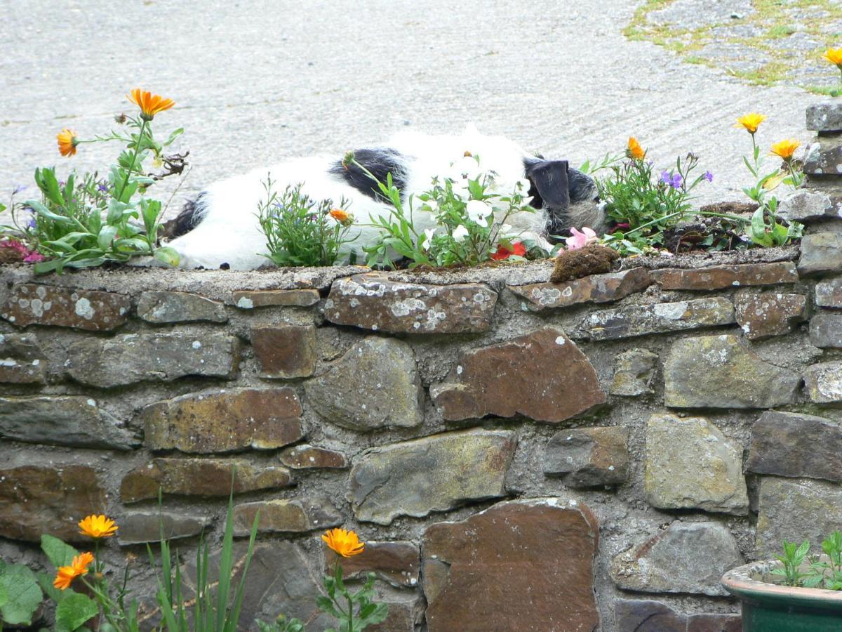 Old Keepers Cottage Bideford Luaran gambar